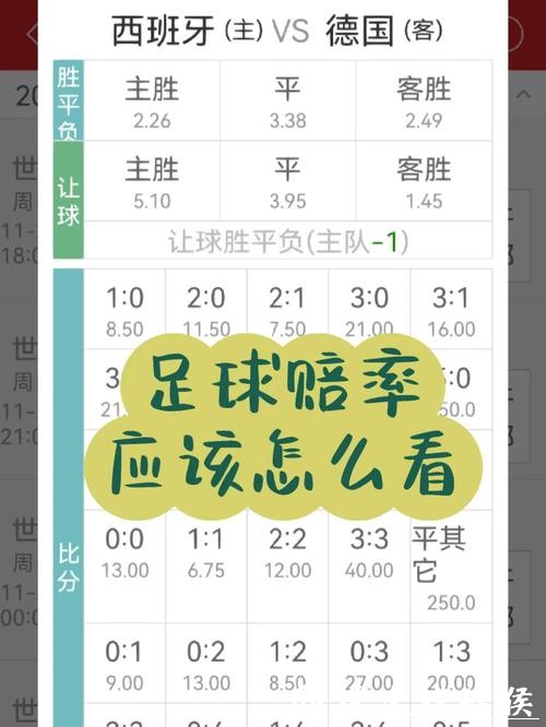 世界杯投注赔率解析:找到最佳盘口 世界杯投注赔率解析:找到最佳盘口